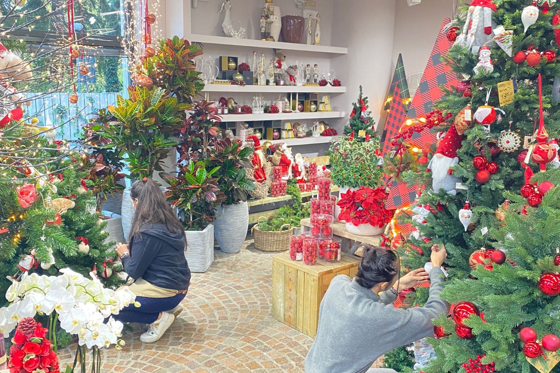 Allestimento natalizio di Fiorista Cilloni