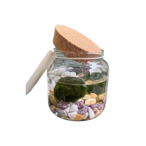 marimo