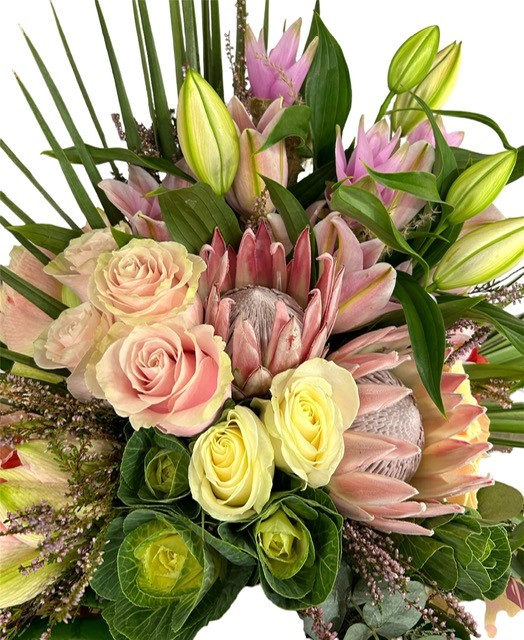 Zorro: Mazzo di fiori splendente - immagine 2