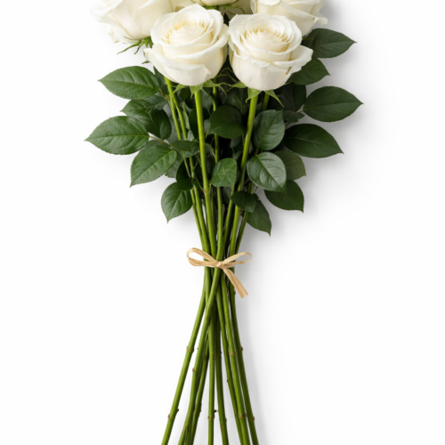 mazzo di rose bianche